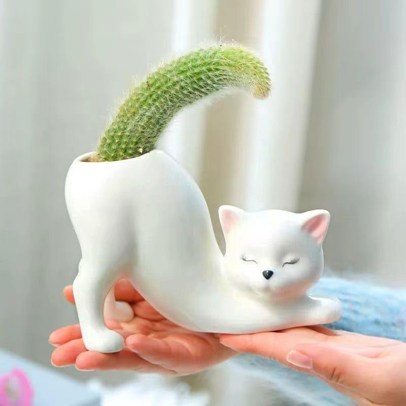 Cute Cat Ceramic Planter Pot for Succulents, Cactus & Small Indoor Plants
