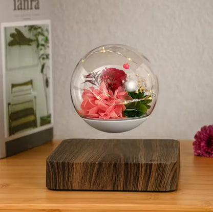 Levitating Air Bonsai Pot Rotation Flower Pot Planters Magnetic Suspension Floating Pot Potted Plant Home without Plants