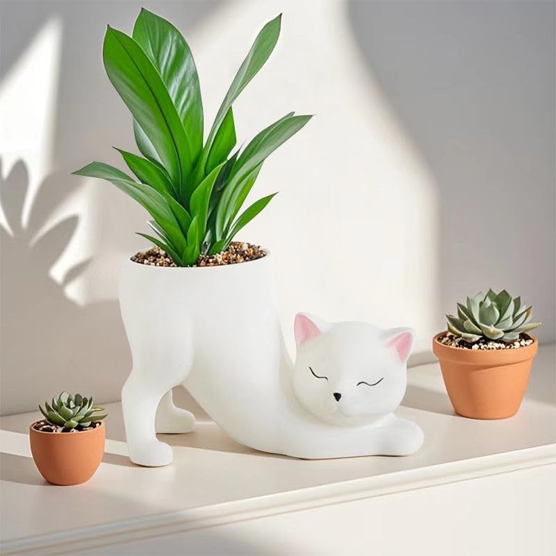 Cute Cat Ceramic Planter Pot for Succulents, Cactus & Small Indoor Plants
